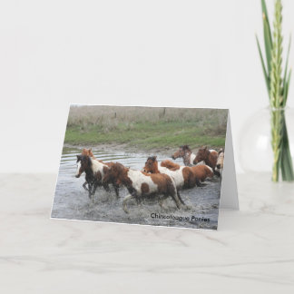 Chincoteague Ponies Greeting Card Karte