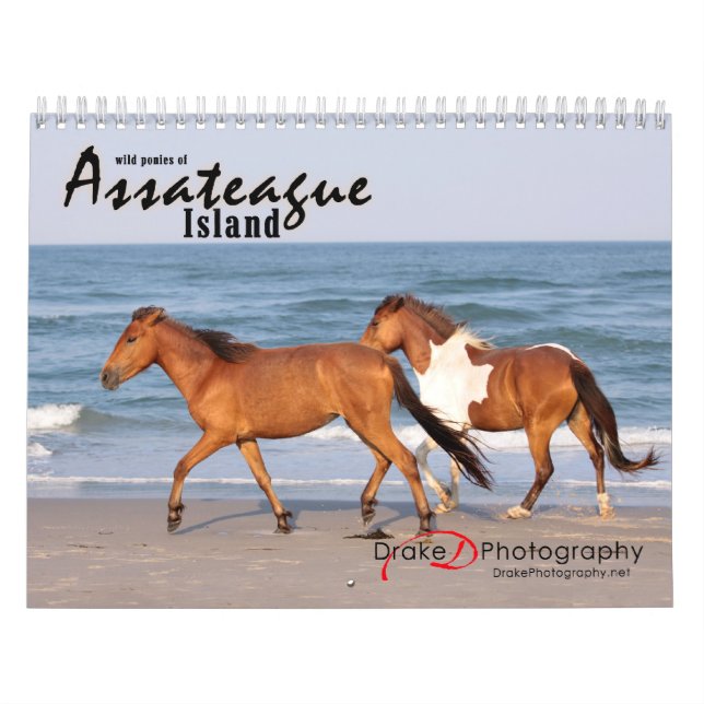Chincoteague Pony Calendar Kalender (Titelbild)
