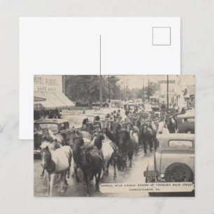 Chincoteague-Pony-Vintage-1941-Postkarte Postkarte