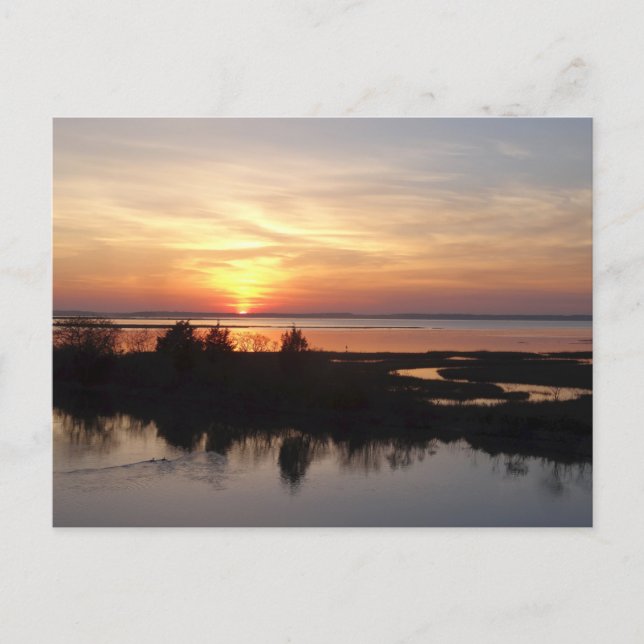 Chincoteague Sunset II Virginia Landschaft Postkarte (Vorderseite)