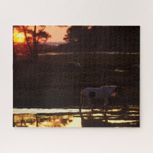 Chincoteague Walking in water at Sunset