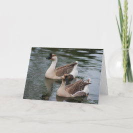 Chinese-Brown-Gans-Gruß-Karte Karte