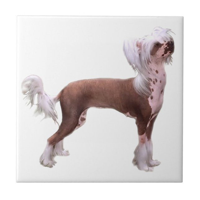 Chinese Crested Fliese (Vorderseite)