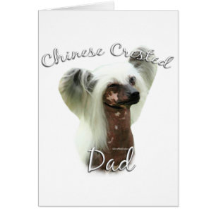 Chinese Crested Papa 2