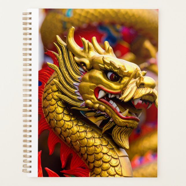 Chinese Dragon Planer (Vorderseite)