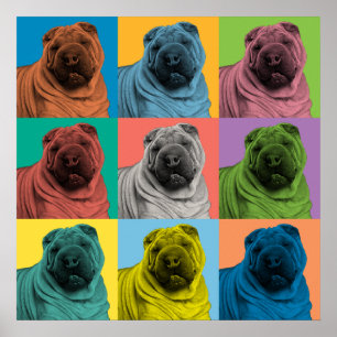 Chinese Shar-Pei Pop-Art-Plakat Poster