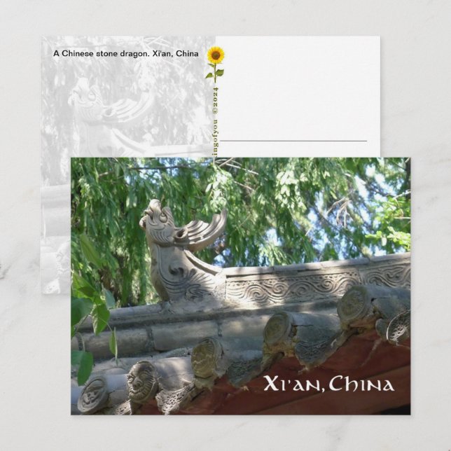 Chinese Stone Dragon, Xi'an, Chine - carte postale (Devant / Derrière)