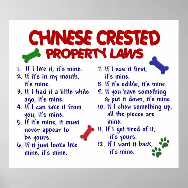 CHINESISCH CRESTED PL2 POSTER (Vorne)