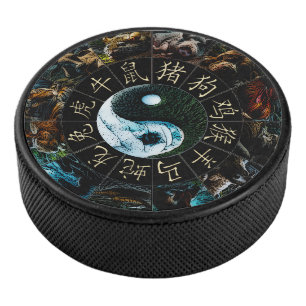 Chinesisch Eishockey Puck