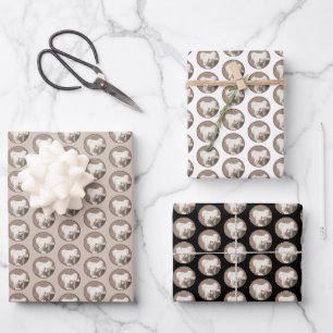 Chinesisch entworfene haarlose Malerei Original Hu Geschenkpapier Set
