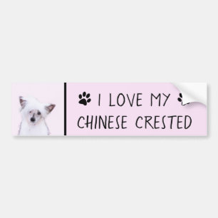 Chinesisch gezapfte Powderpuff-Malerei - Hundekuns Autoaufkleber
