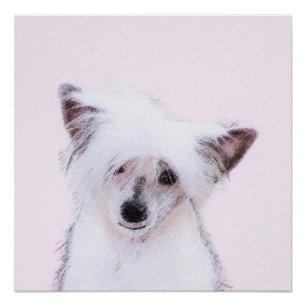 Chinesisch gezapfte Powderpuff-Malerei - Hundekuns Poster