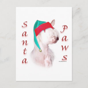Chinesisch gezinkte Santa Paws Feiertagspostkarte