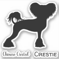 Chinesisch-kreierte Silhouette