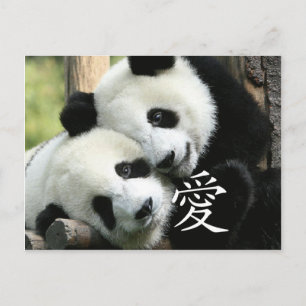 Chinesisch liebende kleine Riesenpandas Postkarte