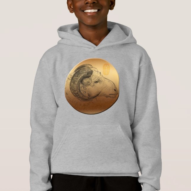 Chinesische Astrologie Zodiac Kids T-Shirt Hoodie (Vorderseite)
