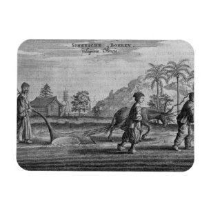 Chinesische Bauern, eine allgemeine Beschreibung Magnet