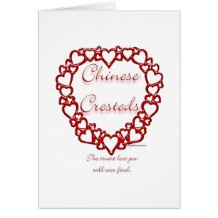 Chinesische Crested True Love