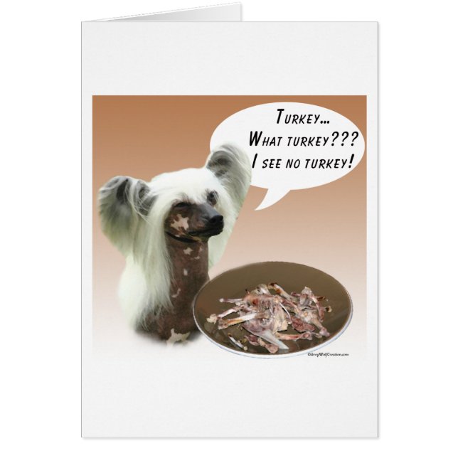 Chinesische Crew der Türkei (Vorne)