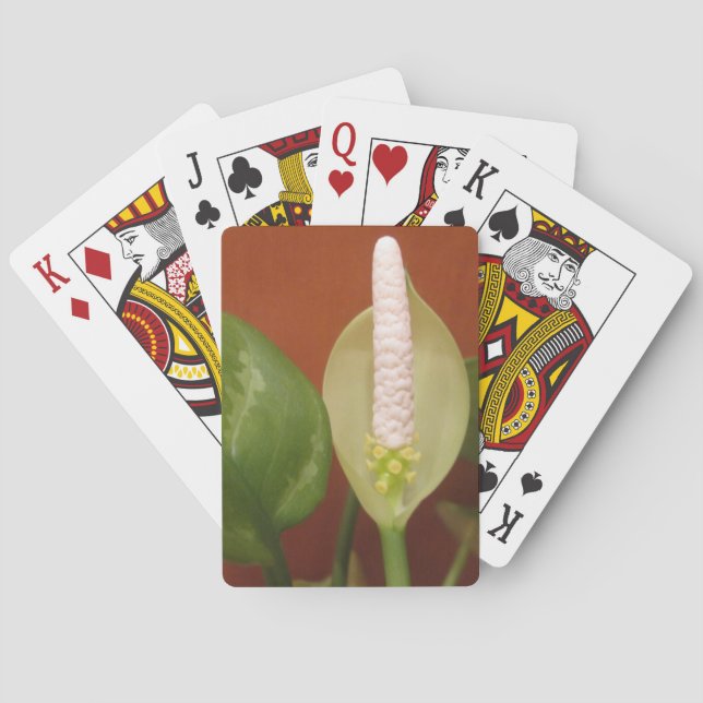 Chinesische Evergreen-Blume Spielkarten (Rückseite)