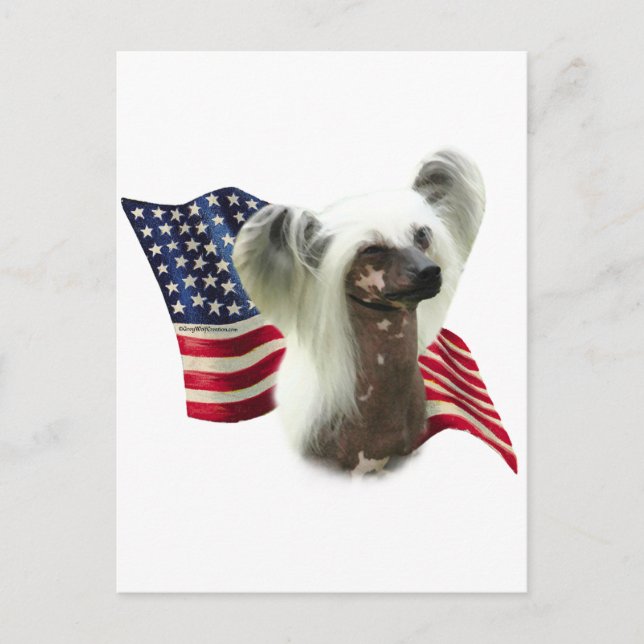 Chinesische Flagge Postkarte (Vorderseite)