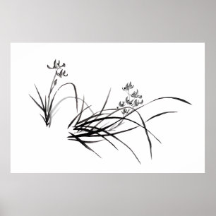 Chinesische Iris im Frühling Poster