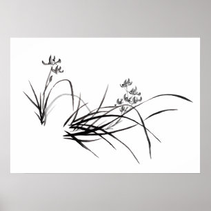 Chinesische Iris im Frühling Poster