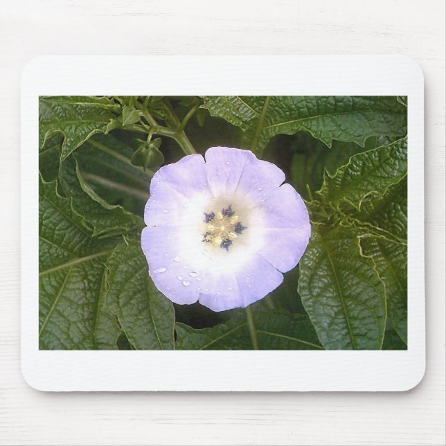 Chinesische Laterne Mousepad (Vorne)