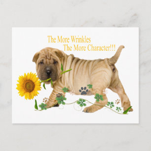 Chinesische Shar-Pei-Falten Geschenke Postkarte