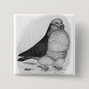 Chinesische Taubenfarbe Zeichnend Button