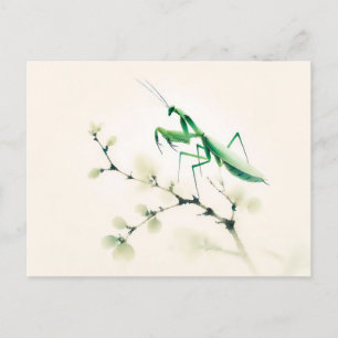 Chinesische Tintenmantis auf Ginkgo Postkarte