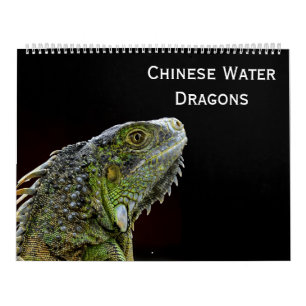 Chinesische Wasser-Drachen Kalender