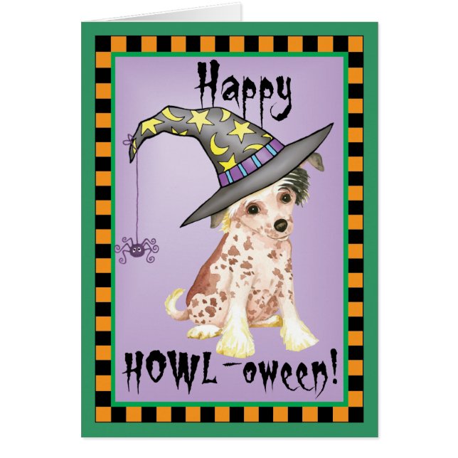 Chinesische Zierhexe (Vorne)