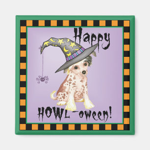 Chinesische Zierhexe Magnet