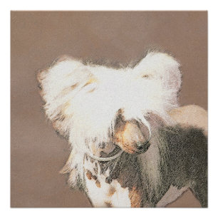 Chinesischer Crested Hairless Original-Hundemalere Poster