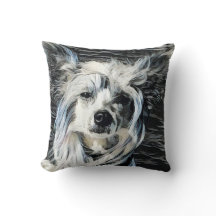 Chinesischer Crested Hund