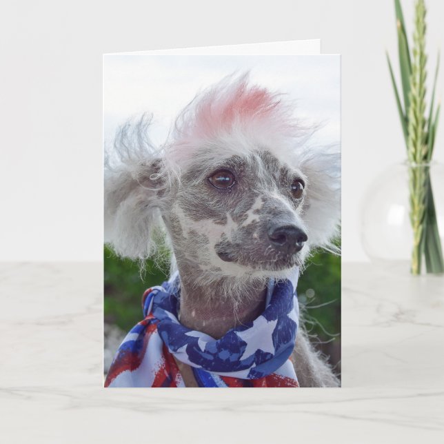 Chinesischer Hufhund in Flaggenschal Karte (Vorderseite)