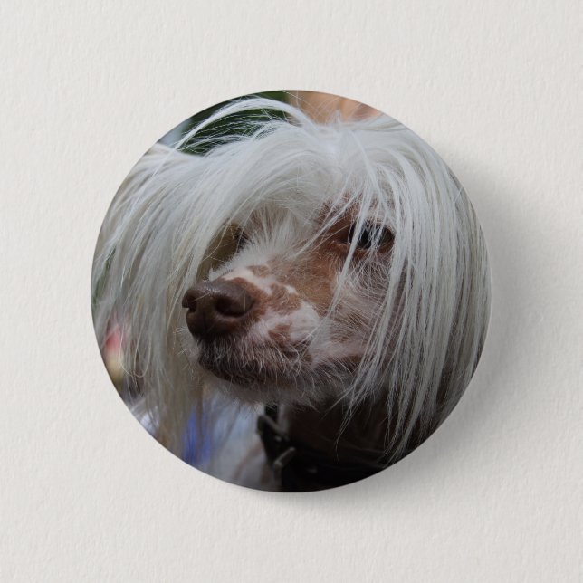 Chinesischer Hund Button (Vorderseite)