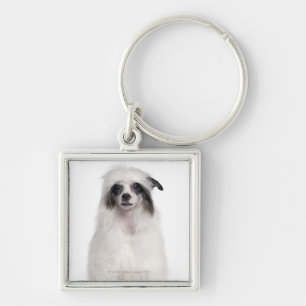 Chinesischer Hund mit Haube (7 Monate alte) Schlüsselanhänger