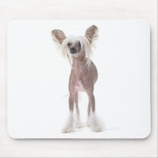 Chinesischer Hund mit Haube Mouspad Mousepad