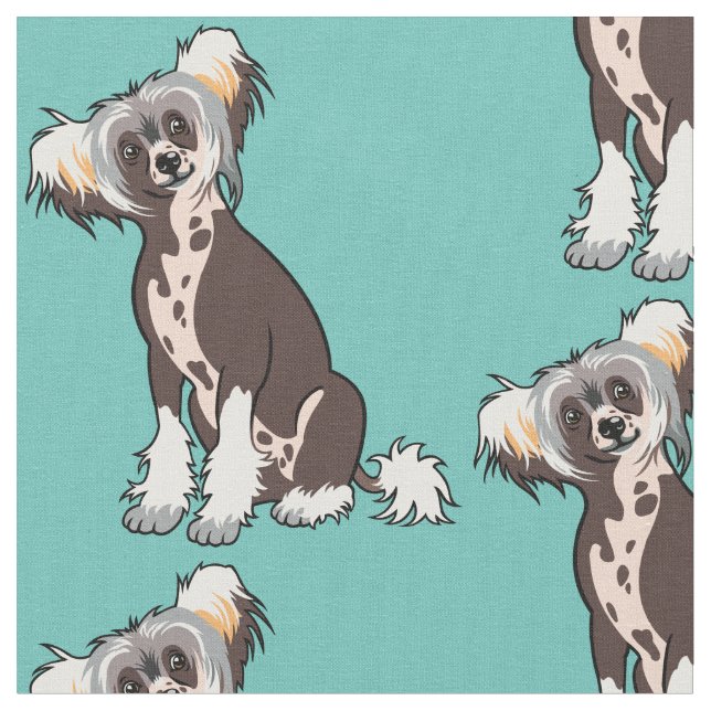 Chinesischer Hund Stoff (Nahaufnahme)