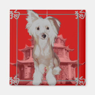 Chinesischer Hund wählen Ihre Farbe Magnet