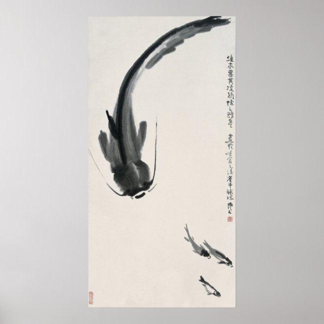 Chinesischer Katfisch Poster (Vorne)