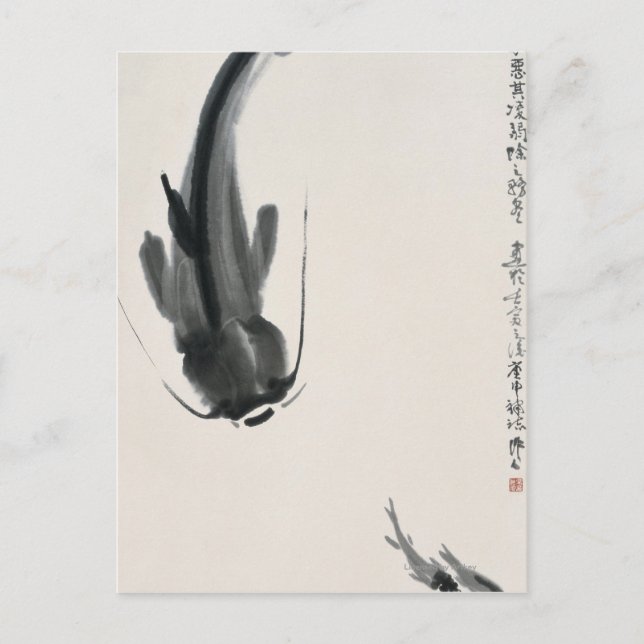 Chinesischer Katfisch Postkarte (Vorderseite)