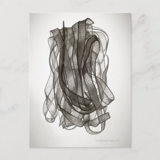 Chinesischer Nudel Postkarte (Vorderseite)