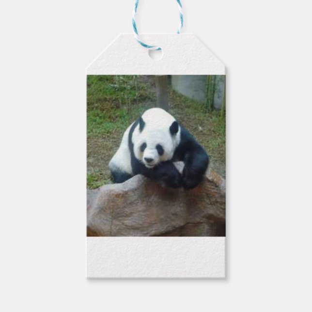 Chinesischer Panda-Bär Geschenkanhänger (Vorderseite)