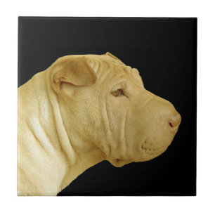Chinesischer Shar-Pei-Hund-Profil Fliese