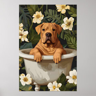 Chinesischer Shar Pei im Badewannenposter, Lustige Poster