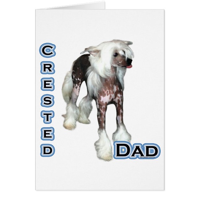 Chinesischer Vater 4 (Vorne)