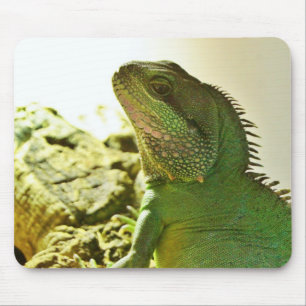 Chinesischer Wasser-Drache Mousepad